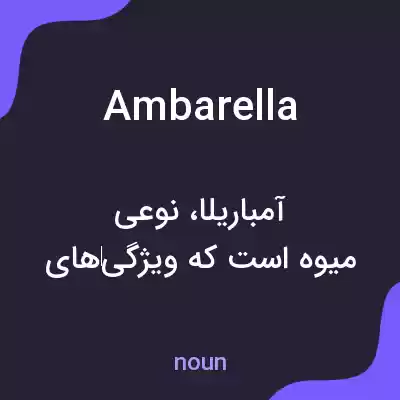 معنی ambarella به فارسی معنی ambarella به فارسی