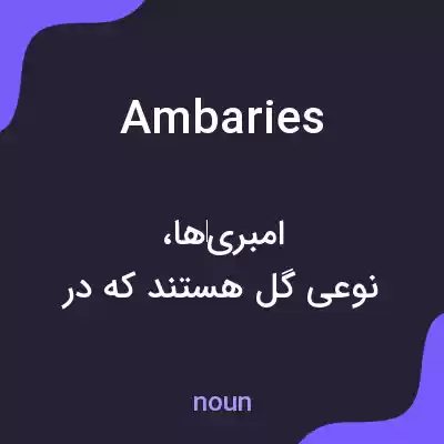 معنی ambaries به فارسی معنی ambaries به فارسی