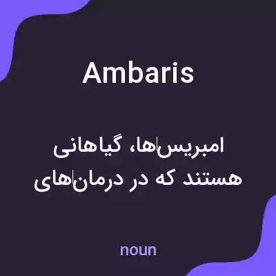 معنی ambaris به فارسی معنی ambaris به فارسی