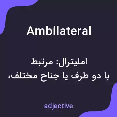 معنی ambilateral به فارسی معنی ambilateral به فارسی