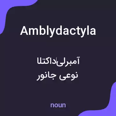 معنی amblydactyla به فارسی معنی amblydactyla به فارسی