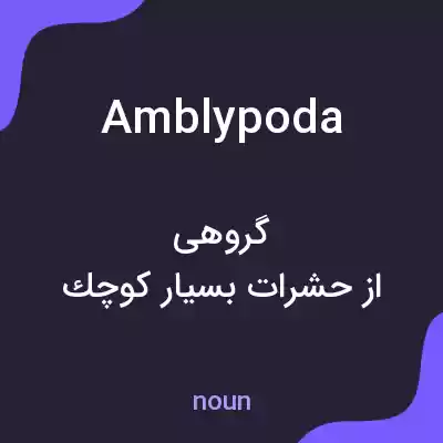 معنی amblypoda به فارسی معنی amblypoda به فارسی