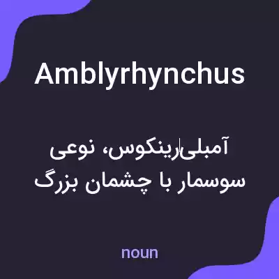 معنی amblyrhynchus به فارسی معنی amblyrhynchus به فارسی