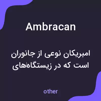 معنی ambracan به فارسی معنی ambracan به فارسی