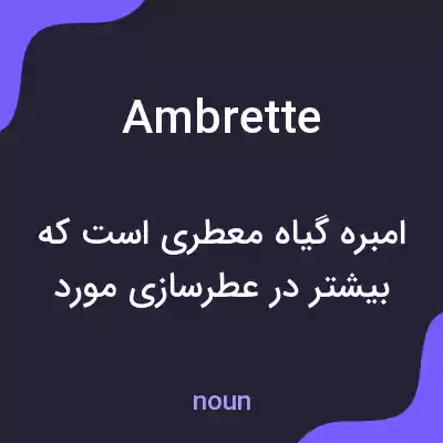 معنی ambrette به فارسی معنی ambrette به فارسی