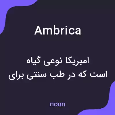 معنی ambrica به فارسی معنی ambrica به فارسی