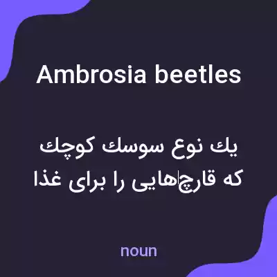 معنی ambrosia beetles به فارسی معنی ambrosia beetles به فارسی