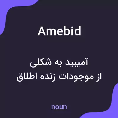معنی amebid به فارسی معنی amebid به فارسی
