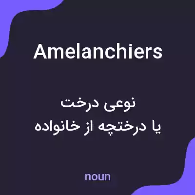 معنی amelanchiers به فارسی