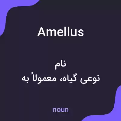 معنی amellus به فارسی معنی amellus به فارسی