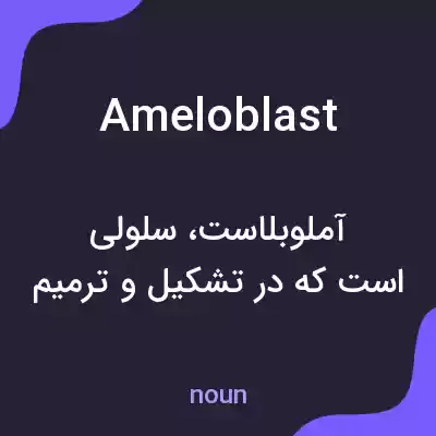 معنی ameloblast به فارسی معنی ameloblast به فارسی