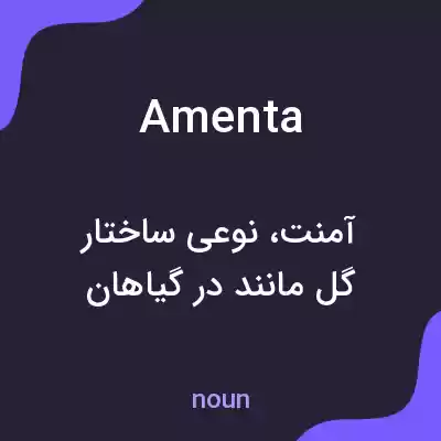 معنی amenta به فارسی معنی amenta به فارسی