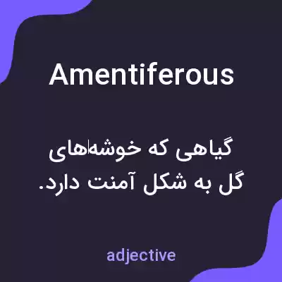 معنی amentiferous به فارسی معنی amentiferous به فارسی
