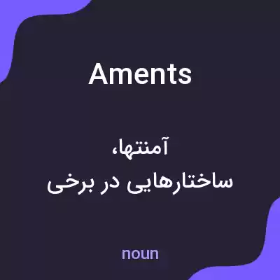 معنی aments به فارسی معنی aments به فارسی