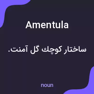 معنی amentula به فارسی معنی amentula به فارسی