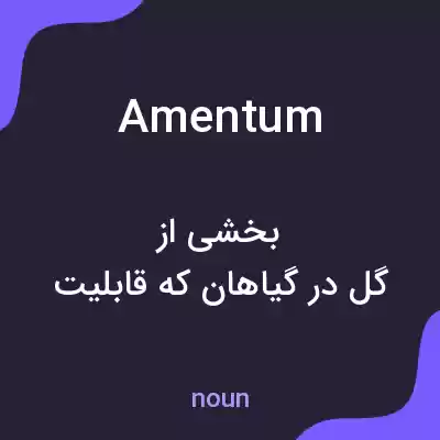 معنی amentum به فارسی معنی amentum به فارسی