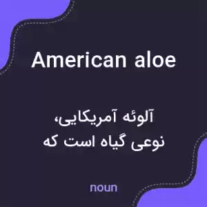 معنی american aloe به فارسی