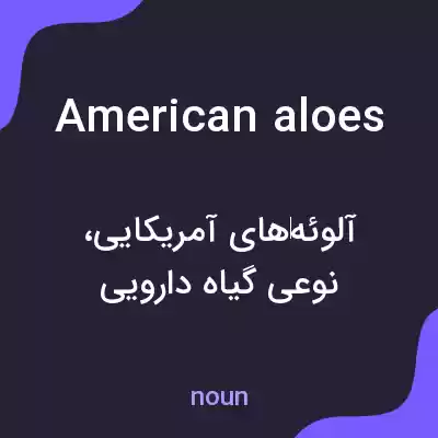 معنی american aloes به فارسی معنی american aloes به فارسی