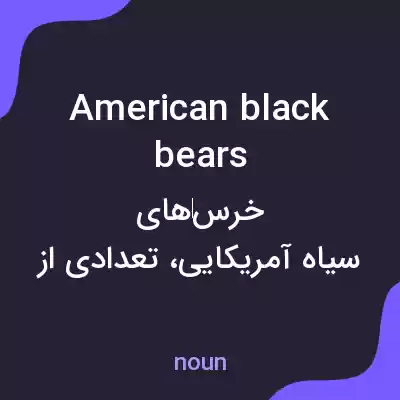 معنی american black bears به فارسی معنی american black bears به فارسی