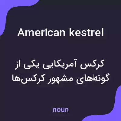معنی american kestrel به فارسی معنی american kestrel به فارسی