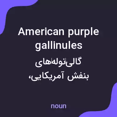 معنی american purple gallinules به فارسی معنی american purple gallinules به فارسی