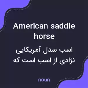 معنی american saddle horse به فارسی معنی american saddle horse به فارسی