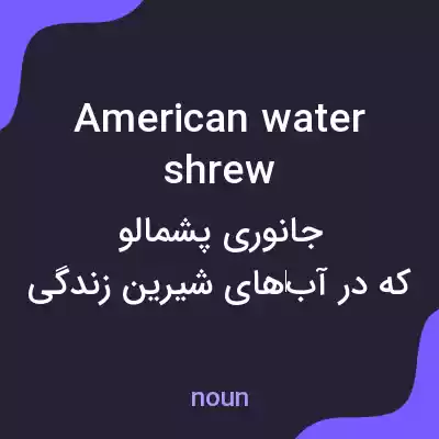 معنی american water shrew به فارسی معنی american water shrew به فارسی