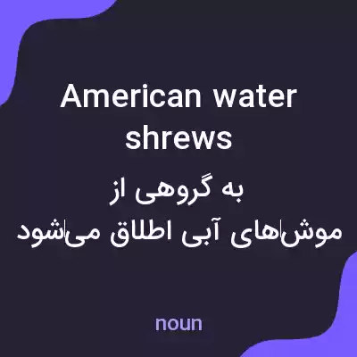 معنی american water shrews به فارسی معنی american water shrews به فارسی