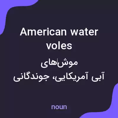 معنی american water voles به فارسی معنی american water voles به فارسی