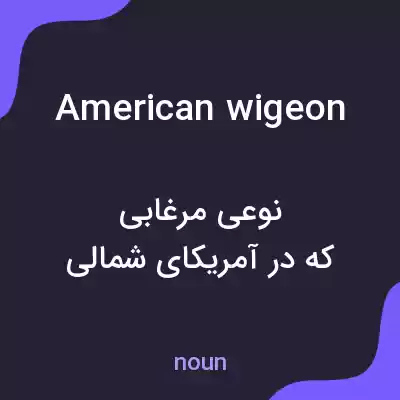 معنی american wigeon به فارسی