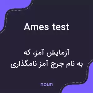 معنی ames test به فارسی معنی ames test به فارسی