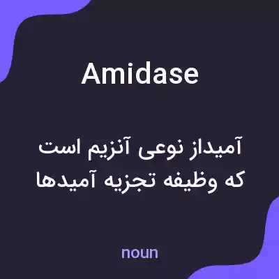 معنی amidase به فارسی معنی amidase به فارسی