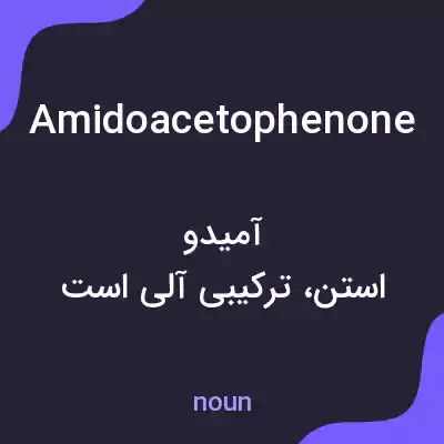 معنی amidoacetophenone به فارسی معنی amidoacetophenone به فارسی