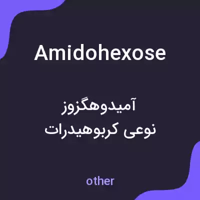 معنی amidohexose به فارسی معنی amidohexose به فارسی