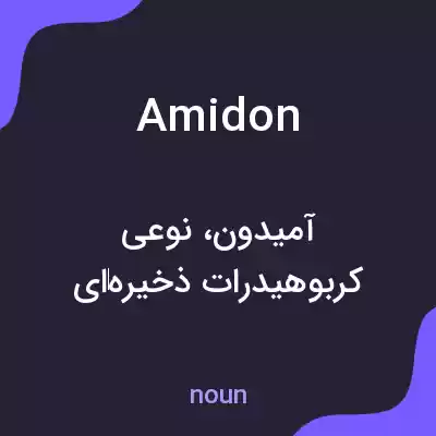 معنی amidon به فارسی