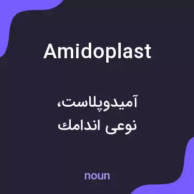 معنی amidoplast به فارسی معنی amidoplast به فارسی