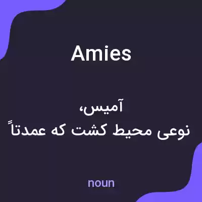 معنی amies به فارسی معنی amies به فارسی