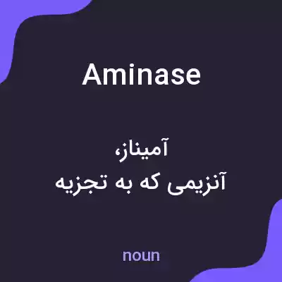 معنی aminase به فارسی معنی aminase به فارسی