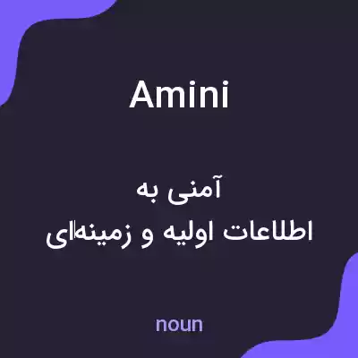 معنی amini به فارسی معنی amini به فارسی
