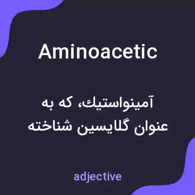 معنی aminoacetic به فارسی معنی aminoacetic به فارسی