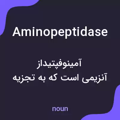 معنی aminopeptidase به فارسی معنی aminopeptidase به فارسی