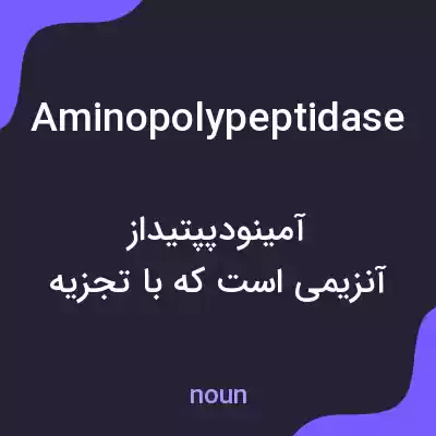 معنی aminopolypeptidase به فارسی معنی aminopolypeptidase به فارسی