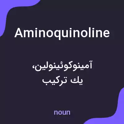 معنی aminoquinoline به فارسی معنی aminoquinoline به فارسی