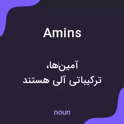 معنی amins به فارسی معنی amins به فارسی