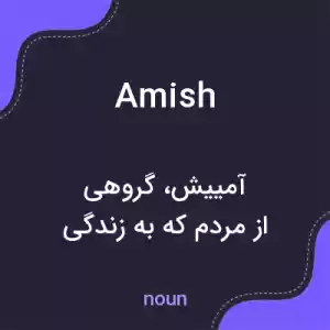 معنی amish به فارسی معنی amish به فارسی