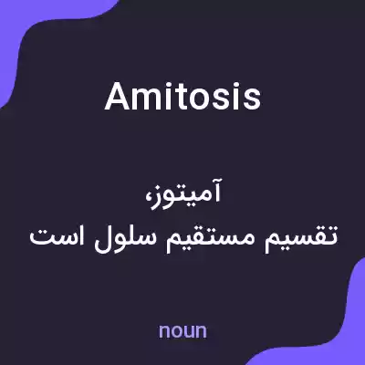 معنی amitosis به فارسی معنی amitosis به فارسی