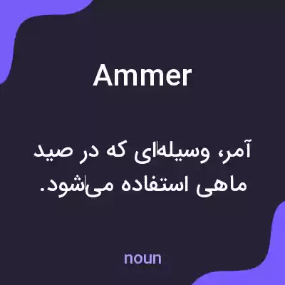 معنی ammer به فارسی