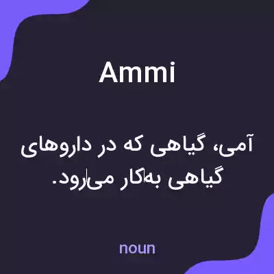 معنی ammi به فارسی معنی ammi به فارسی