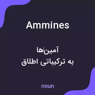 معنی ammines به فارسی