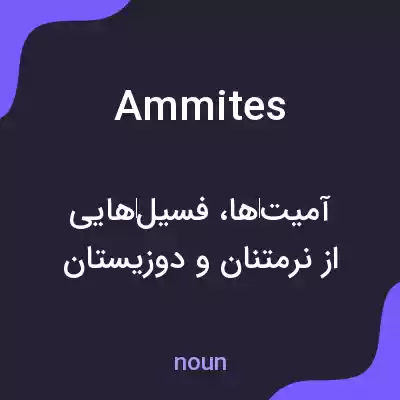 معنی ammites به فارسی معنی ammites به فارسی